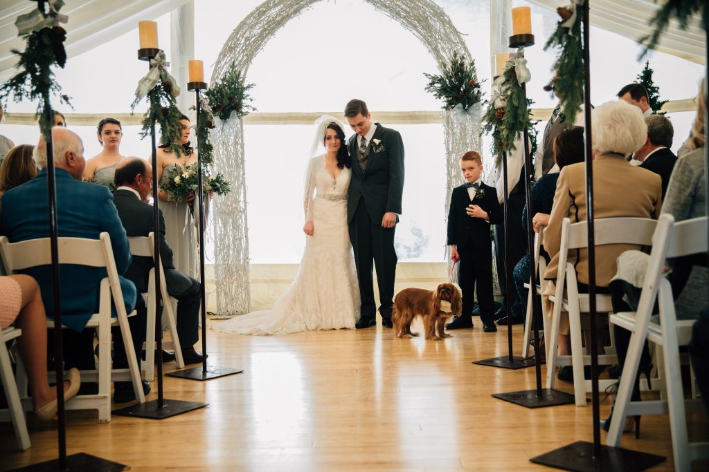 Dog at Wedding Idaho Photographer
