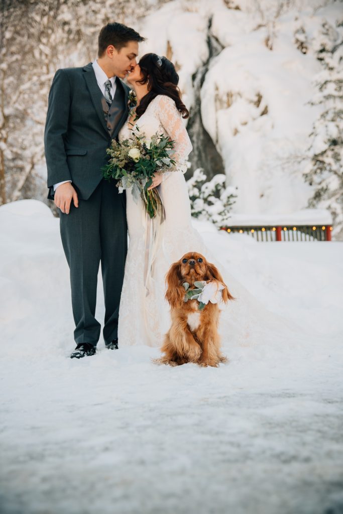 Winter Wedding dog photos Idaho Photographer