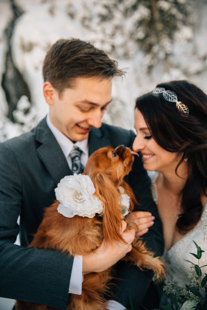 Bride and Groom with Dog photos