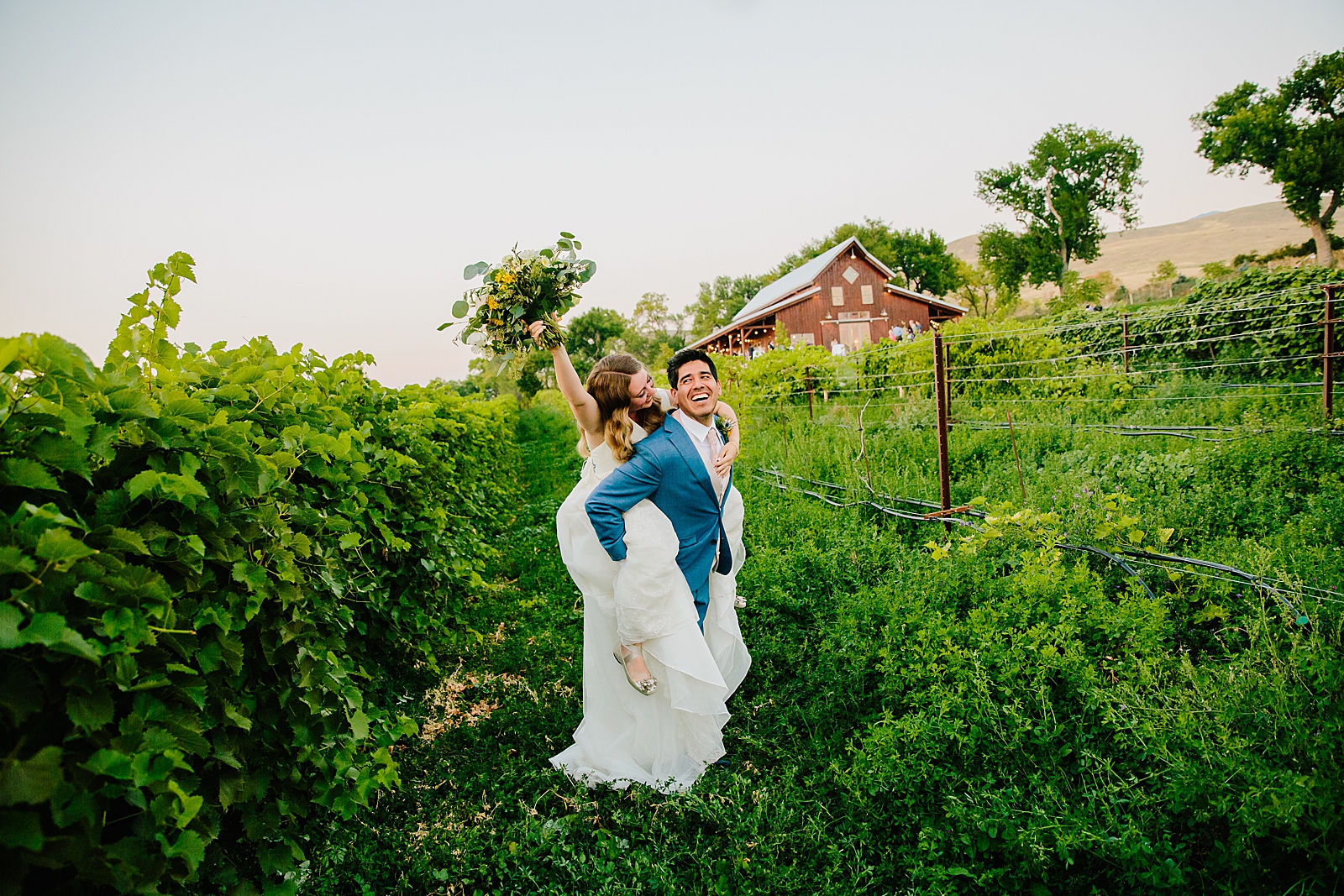 bride piggy backing on her groom as they are in a vineyard for their outdoor wedding in Pocatello