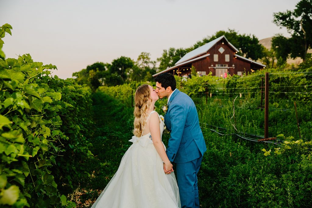 bride and groom kissing in a vineyard with their barn wedding venue in the distance 