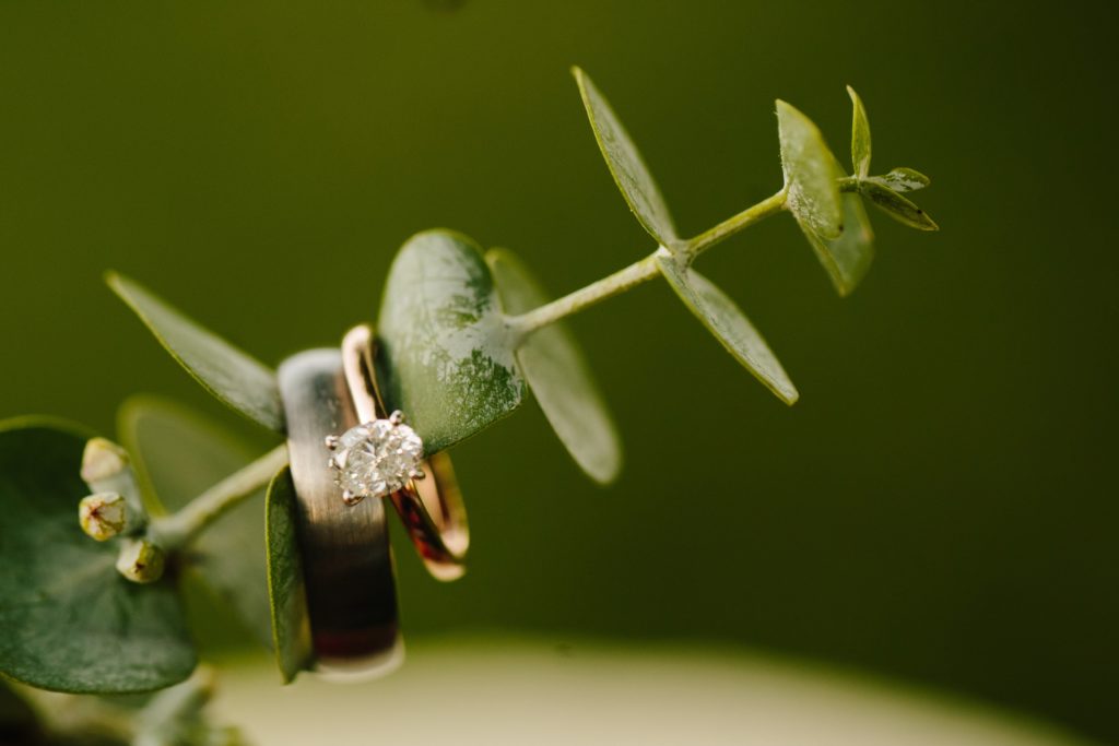 Jackson Hole wedding photographer captures detail shot of wedding rings on greenery