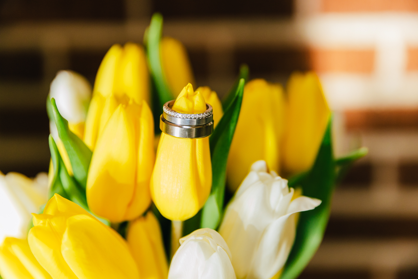 Jackson Hole wedding photographer captures ring on tulips