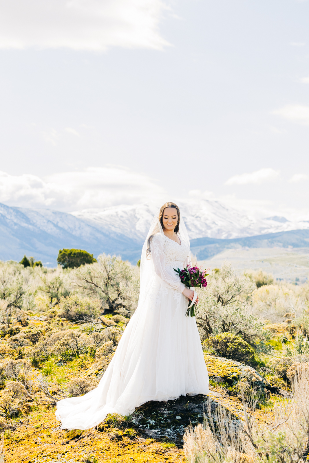 Jackson Hole wedding photographer captures beautiful bride pocatello posed in mountains