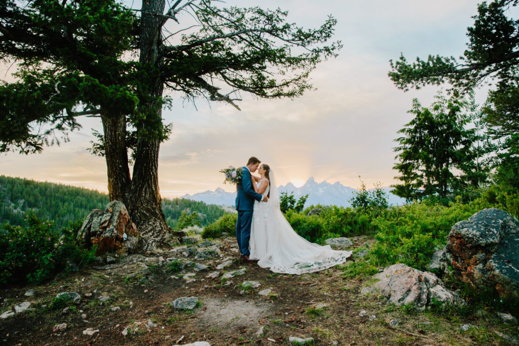 beautiful wedding tree in Jackson Hole captured by Jackson Hole wedding photographer