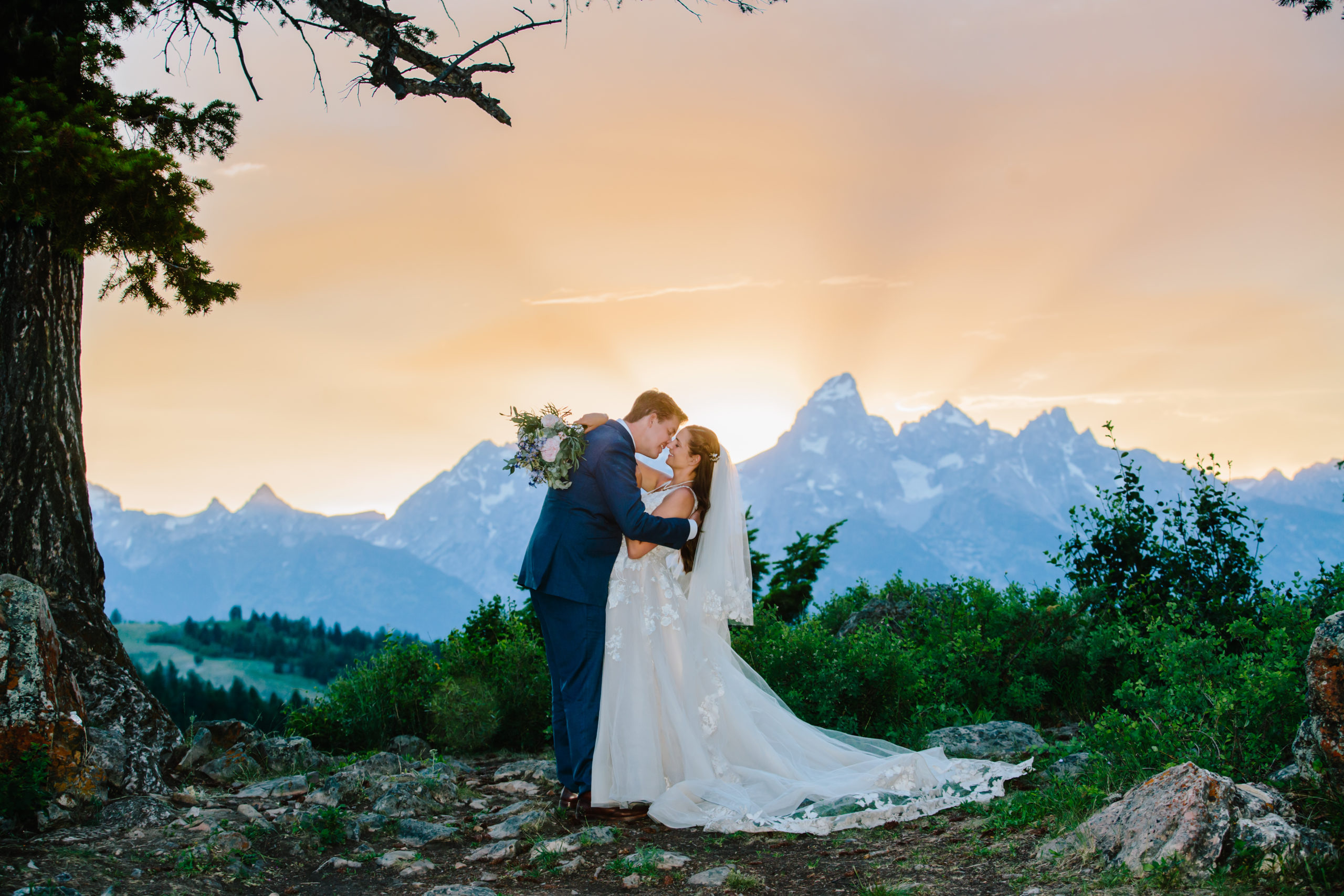 couple kissing at wedding tree sunset in jackson hole wedding location