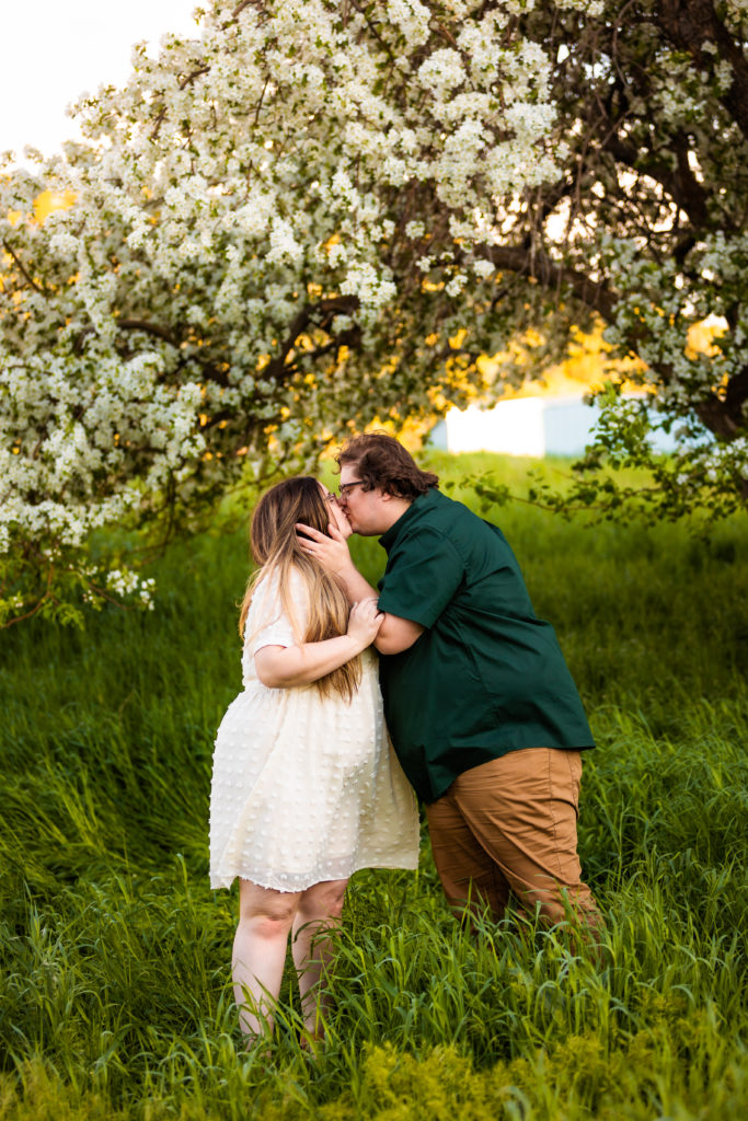 engaged couple kissing in apple blossoms during outdoor engagements