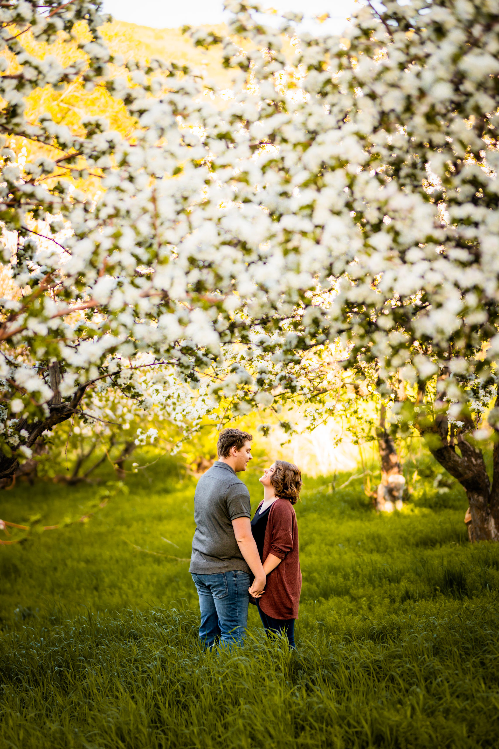 newly engaged couple looking at one another during Pocatello Apple Blossom Engagements