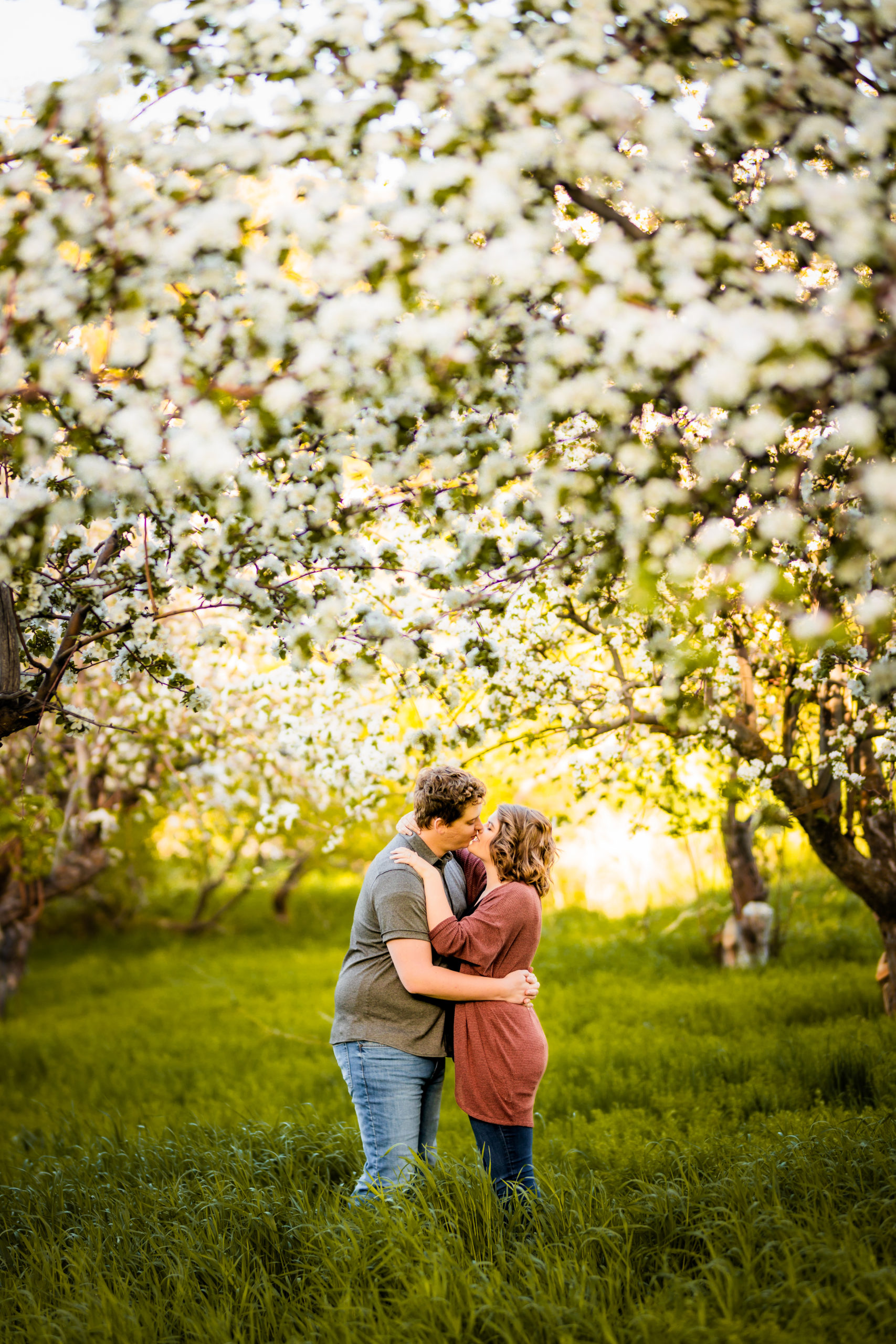 man and woman embracing and kissing in apple blossoms