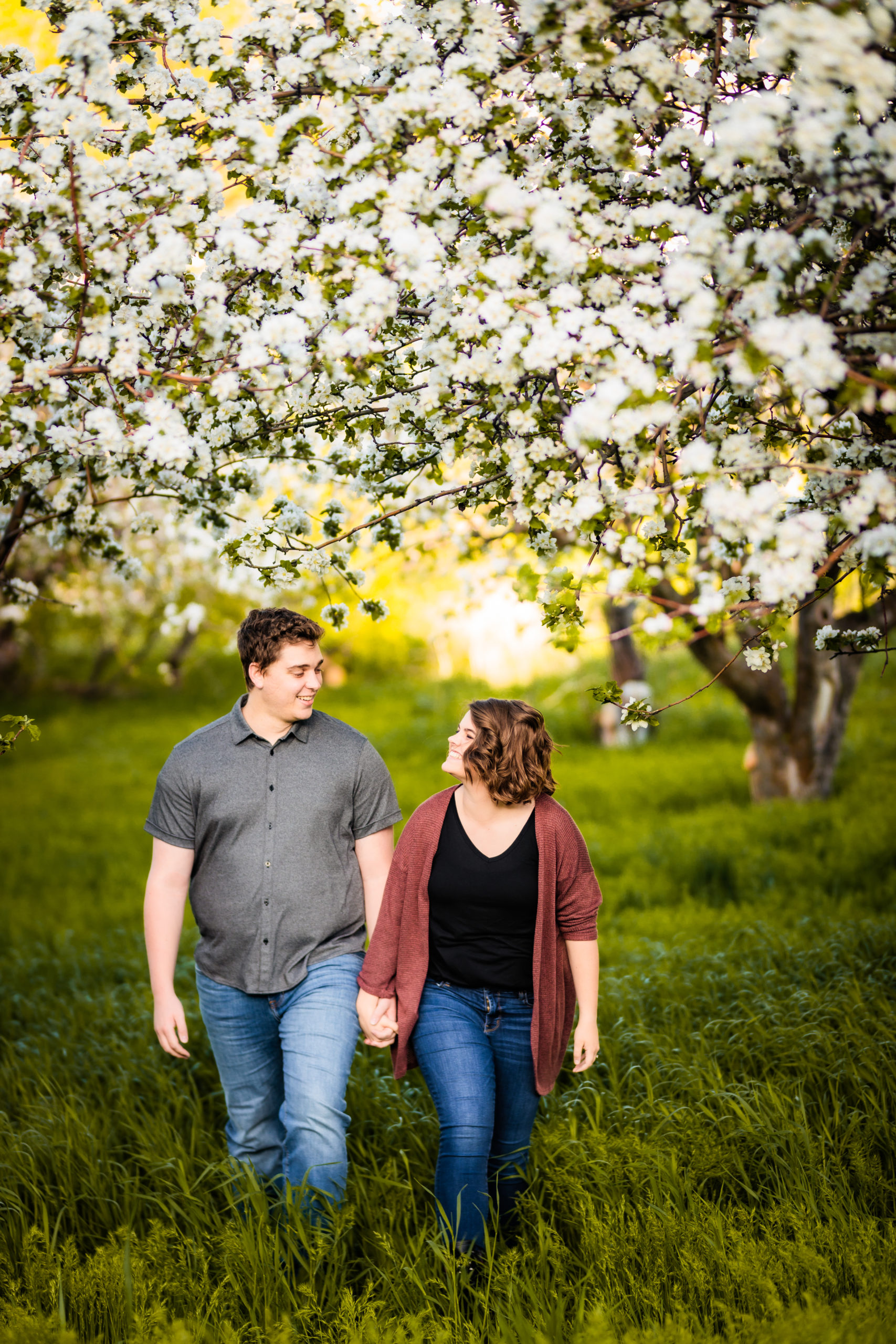 newly engaged couple walking through apple blossoms together 