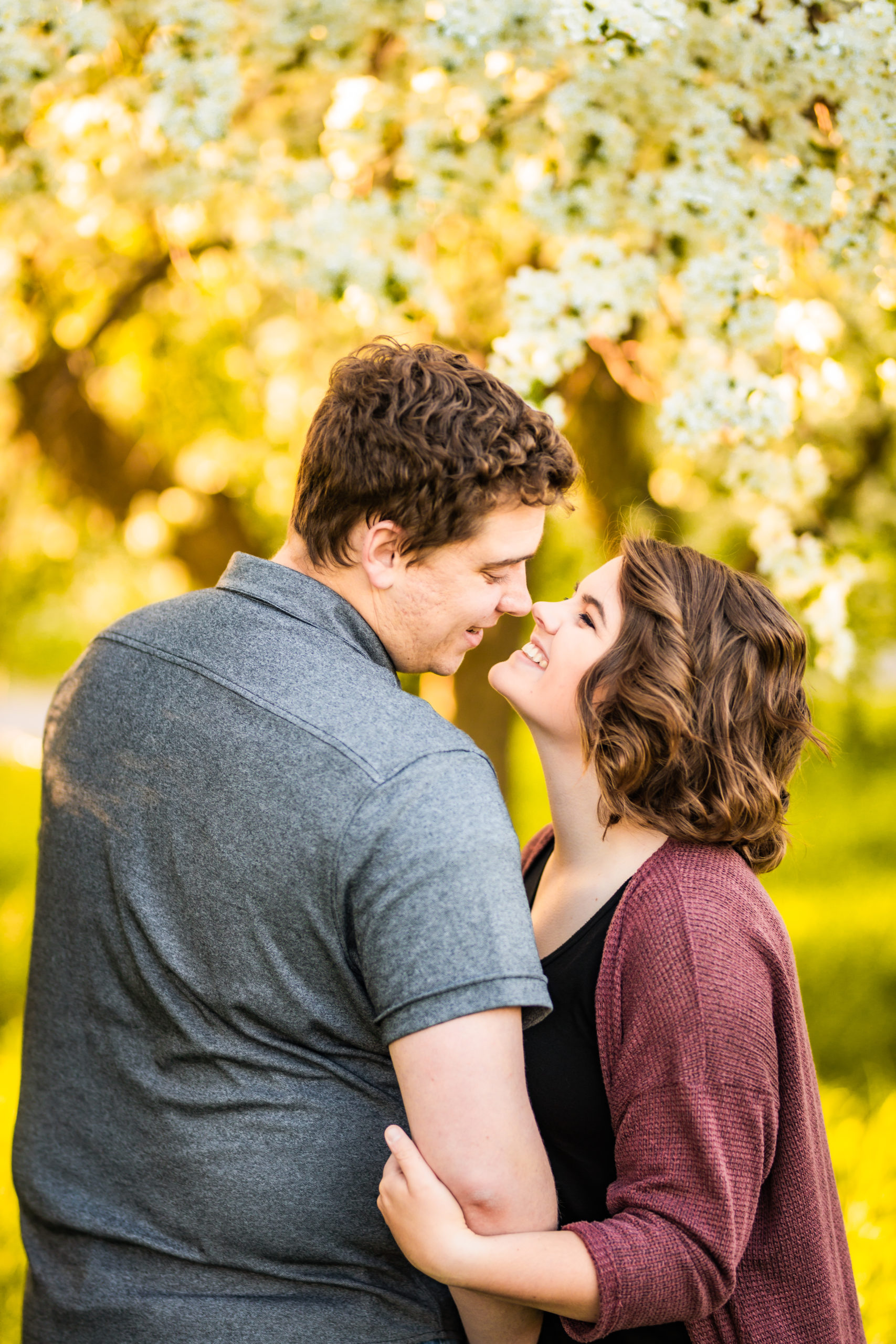 engaged couple kissing during apple blossoms engagement session
