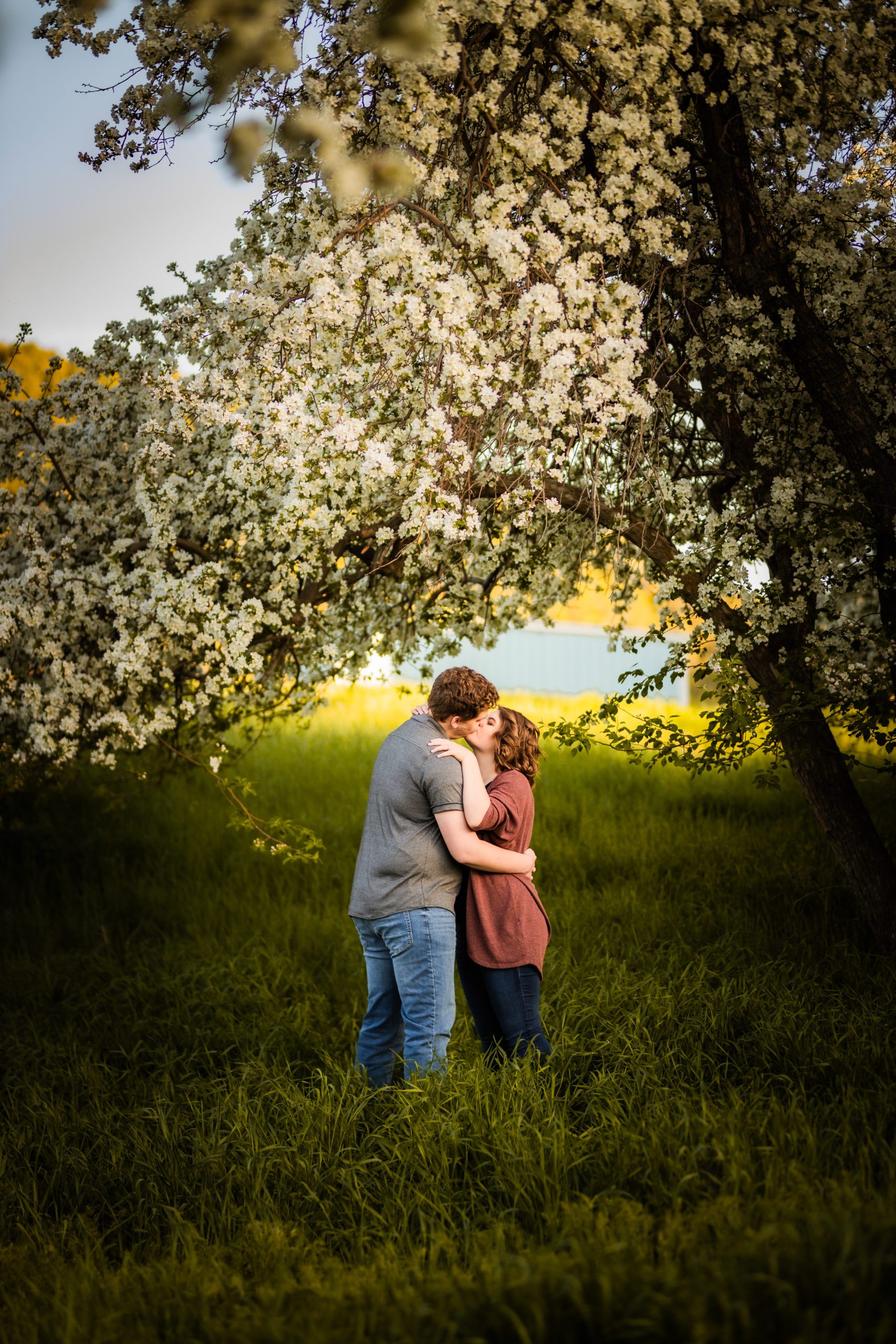 couple hugging in apple blossoms