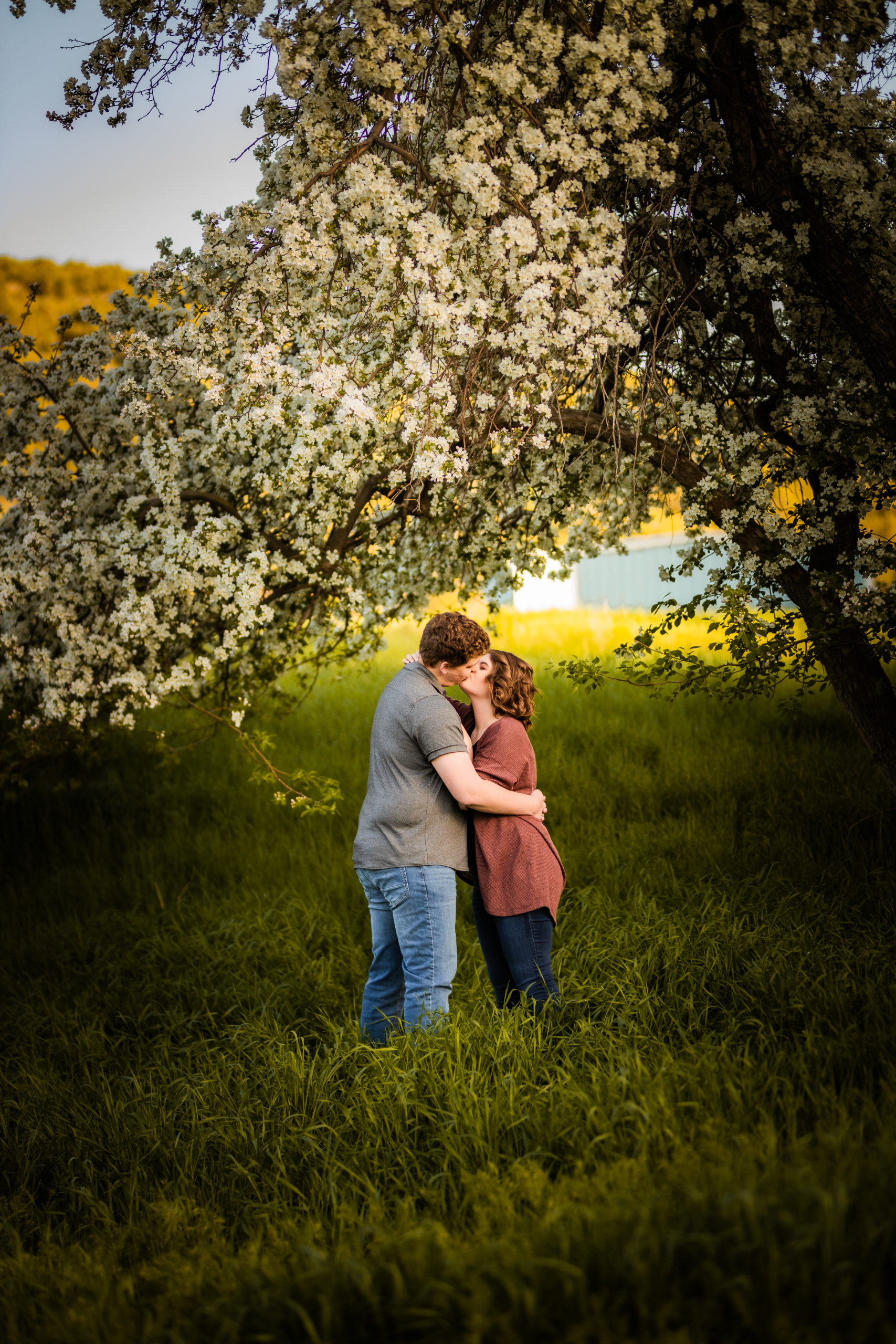 man holding woman during apple blossoms engagements