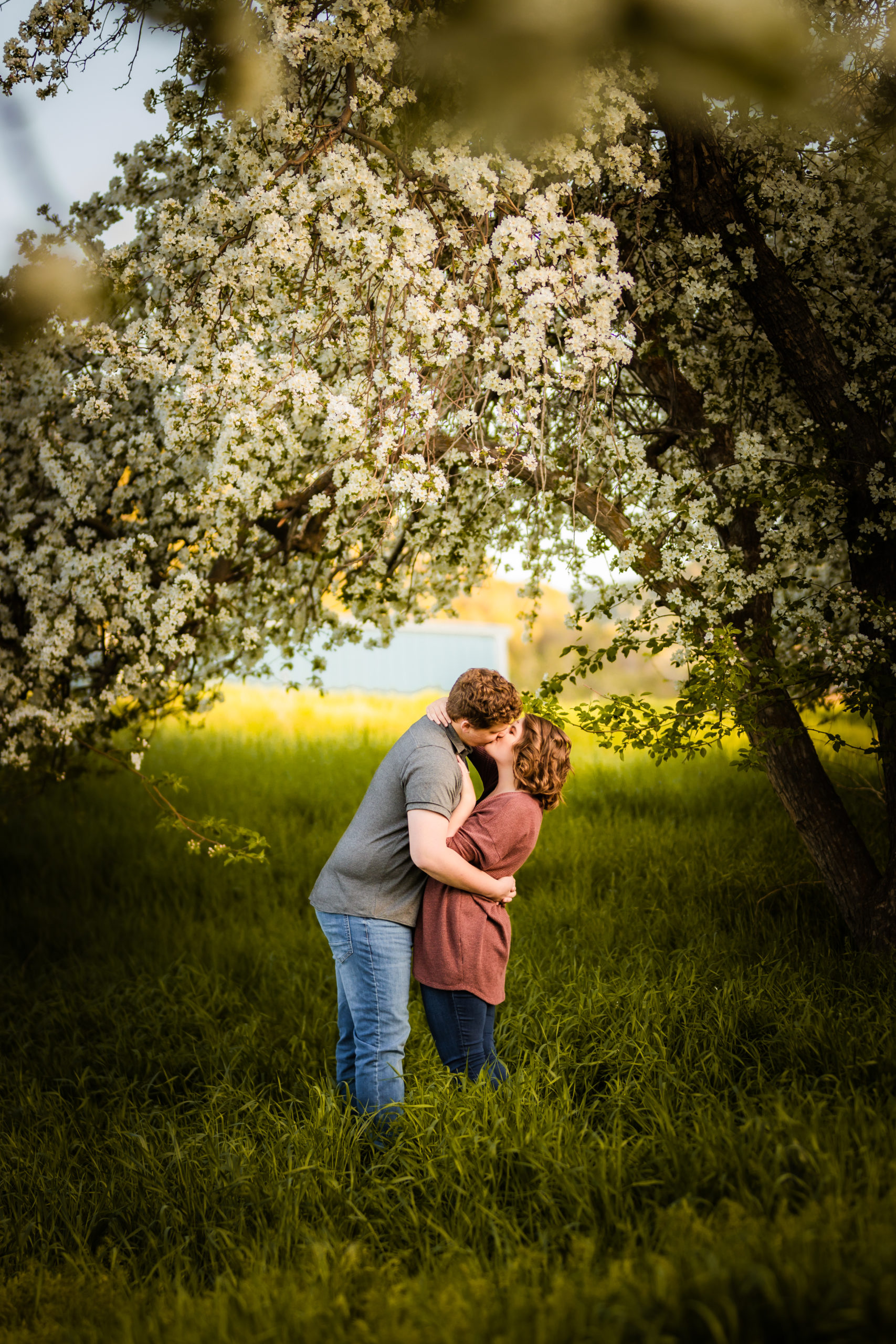 man and woman kissing during apple blossoms engagement session