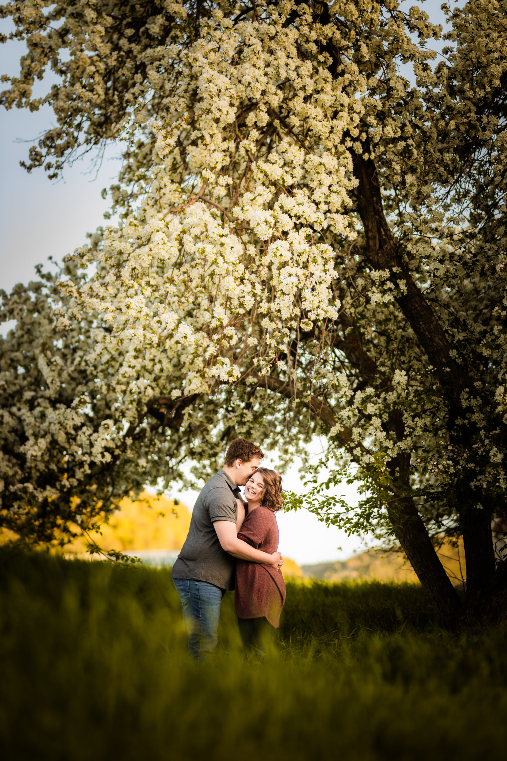apple blossom trees with engaged couple kissing