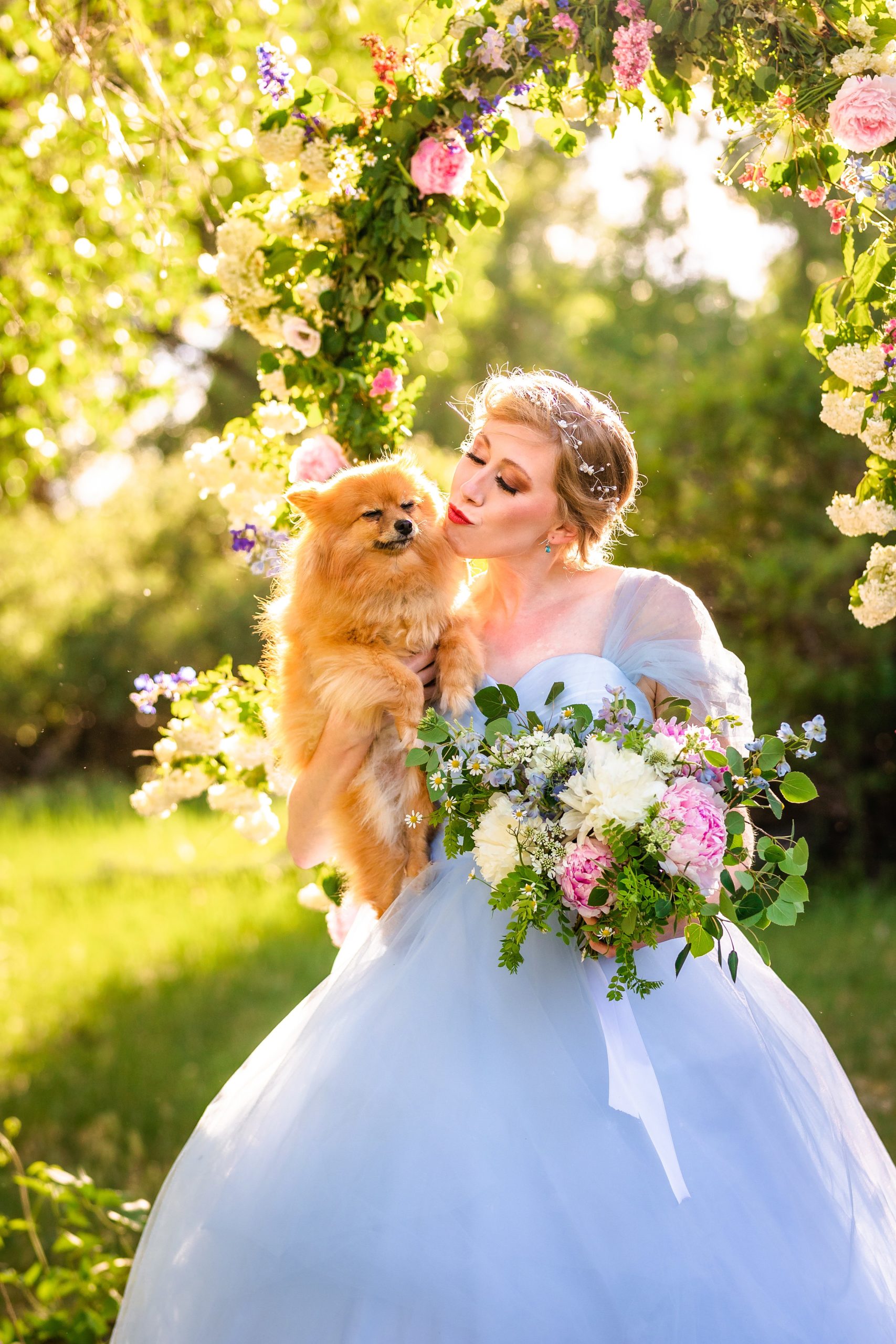 bride in blue dress kisses old small dog that is golden red