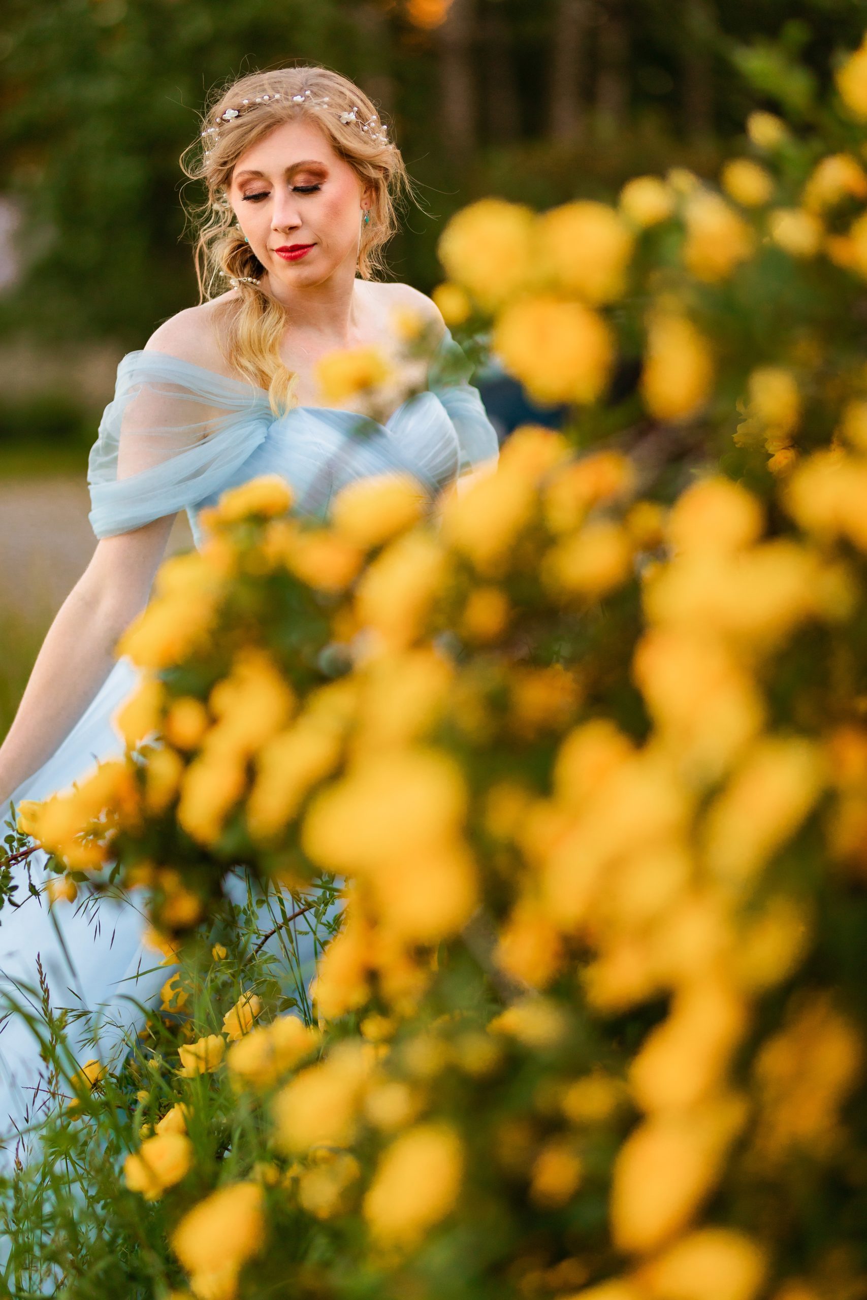 yellow roses on bush surrounding bride in blue dress