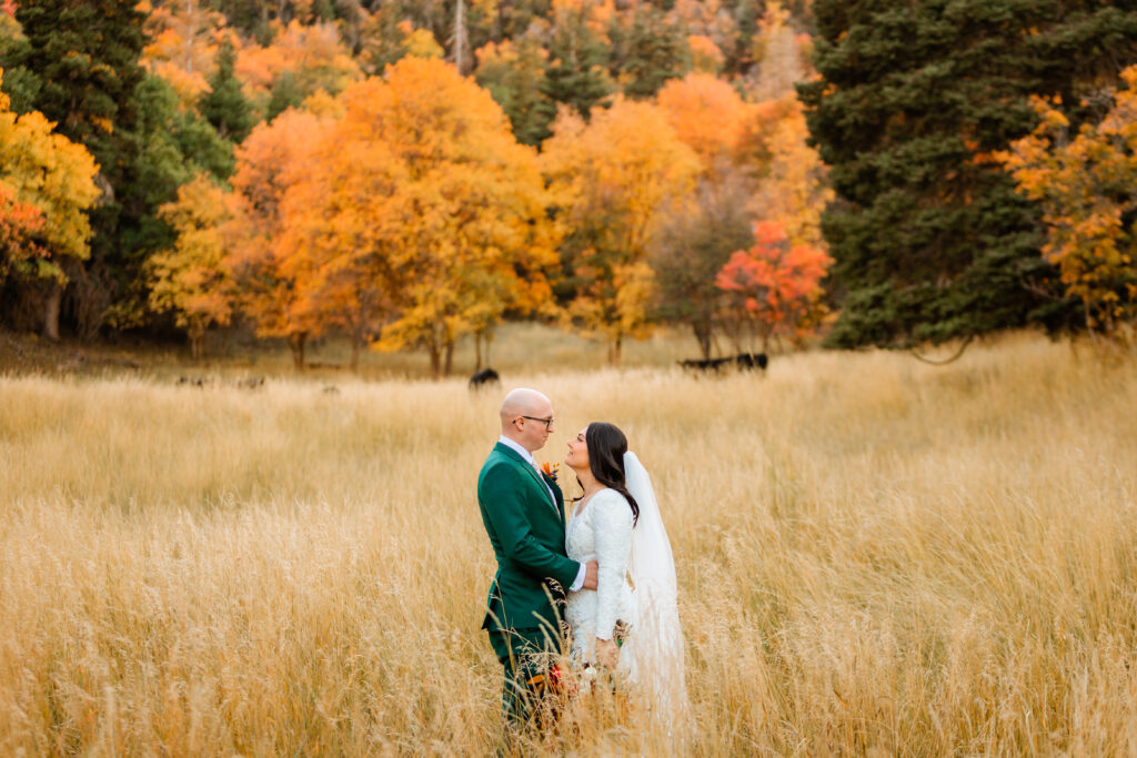 Jackson Hole elopement photographer captures bride and groom standing in field of tall wheat during micro grand teton wedding