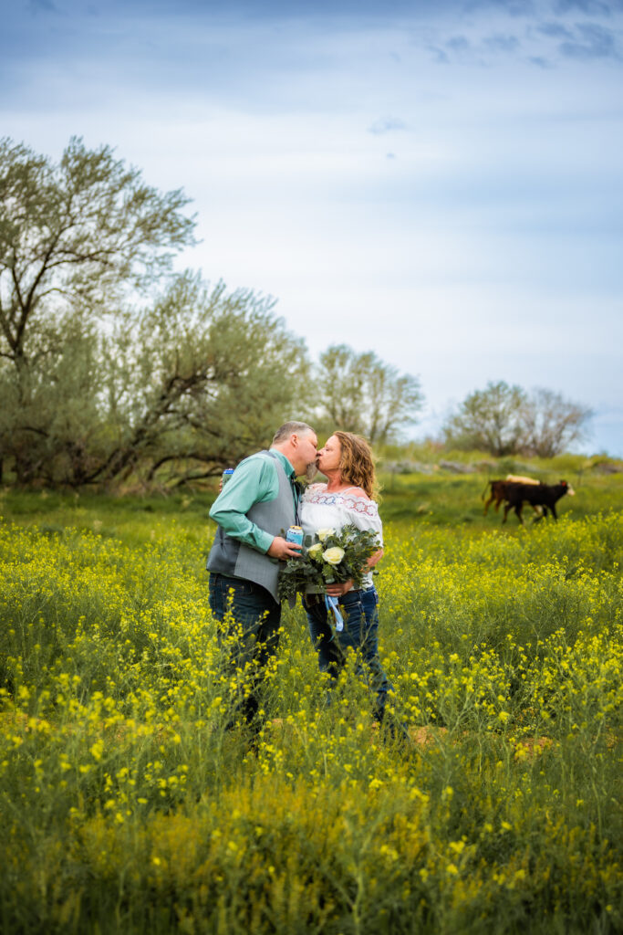 Grand Teton elopement couple drink beer and kiss in flowered field while cows roam behind them.