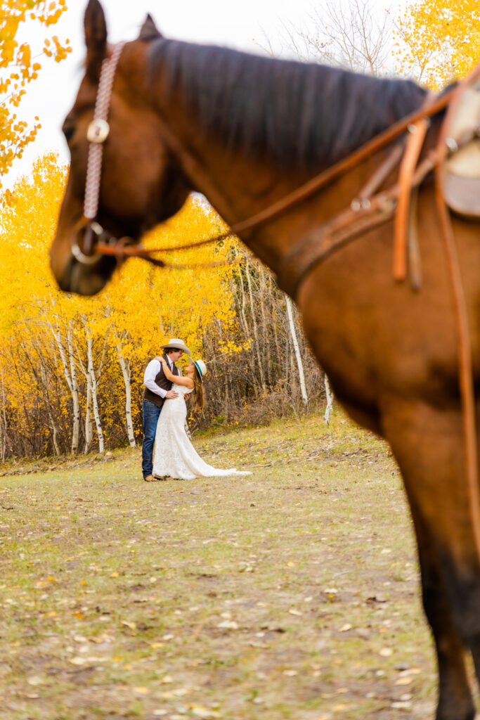 Jackson Hole elopement photographers capture couple kissing during Jackson Hole engagement session with horse